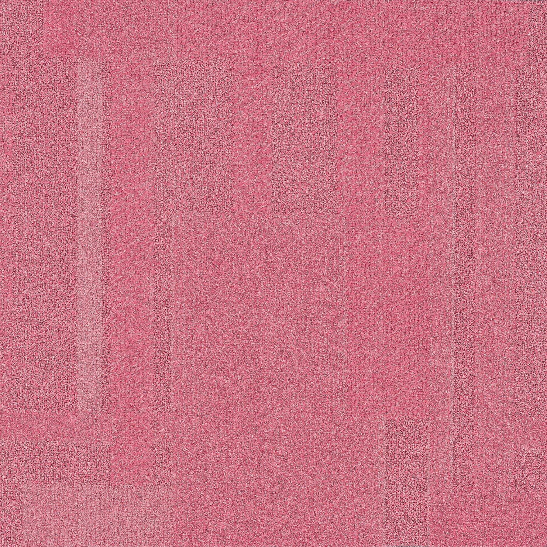 Vivid 202 - Piggy Back