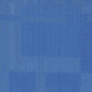 Vivid 202 - Polar Express