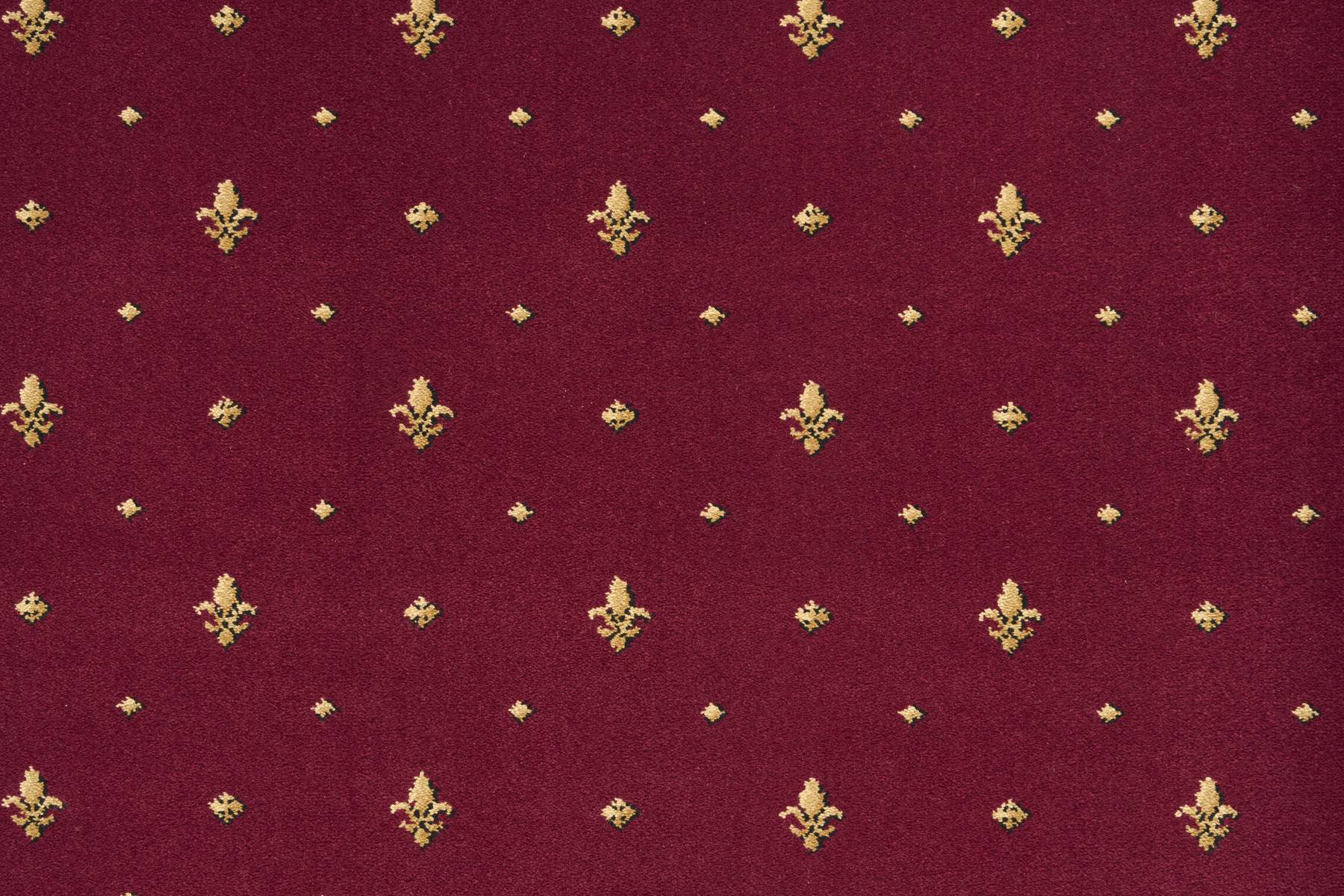 Royal Lily - Princess