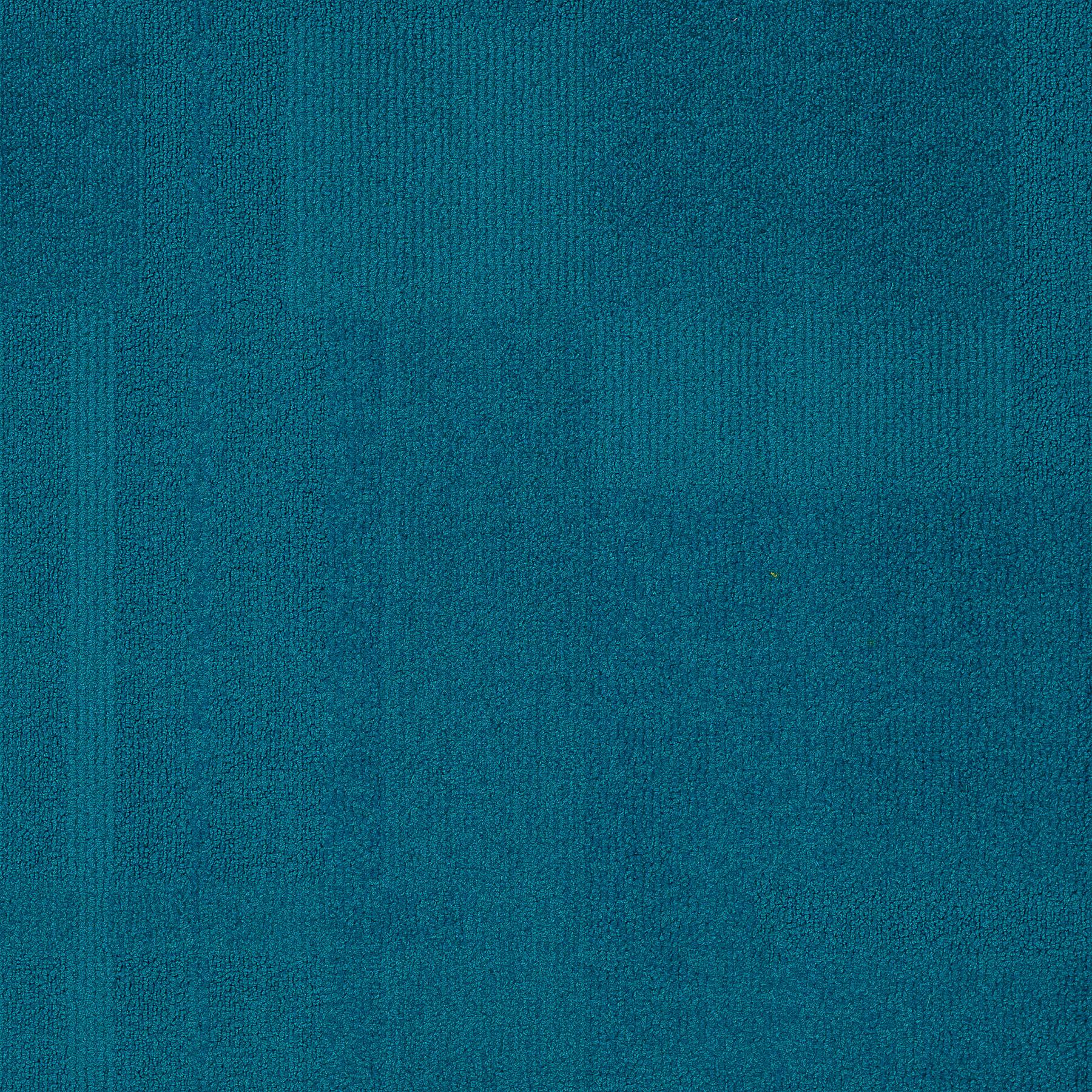 Vivid 202 - Proud Peacock