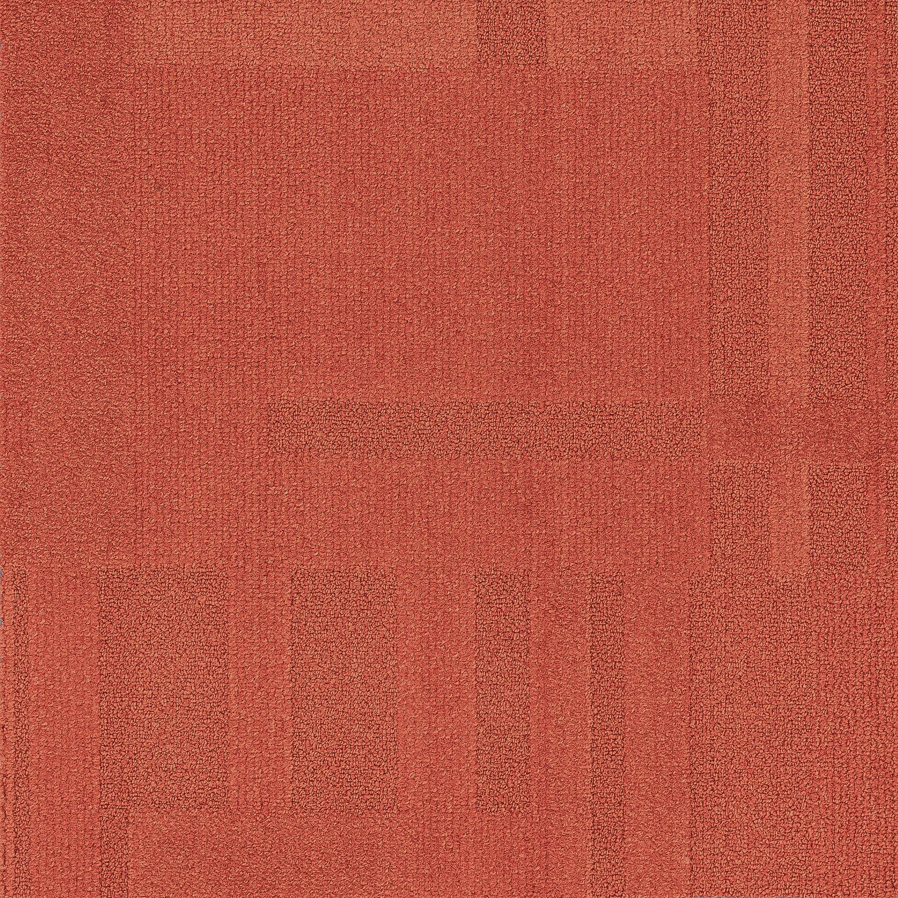 Vivid 202 - Pumpkin Patch