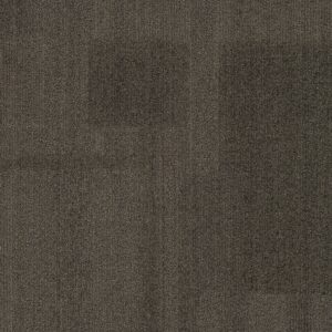 Vivid 202 - Rat Race