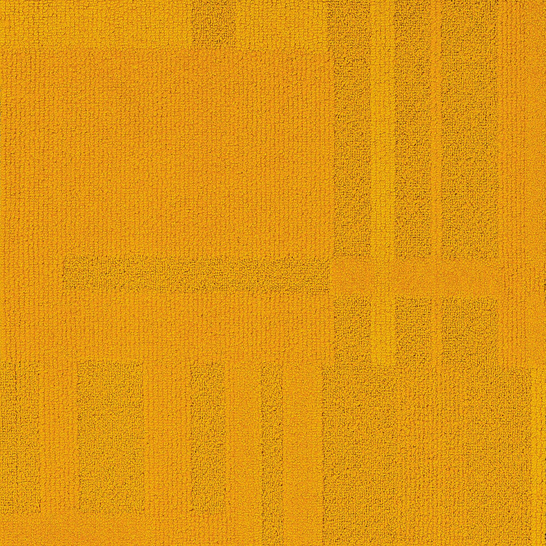 Vivid 202 - Saffron Rice