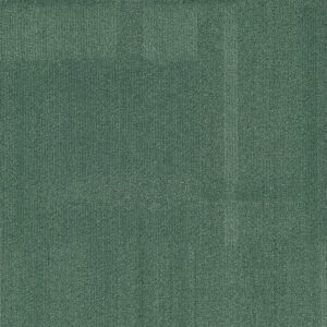 Vivid 202 - Sage Rage