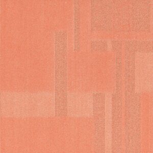 Vivid 202 - Sassy Salmon