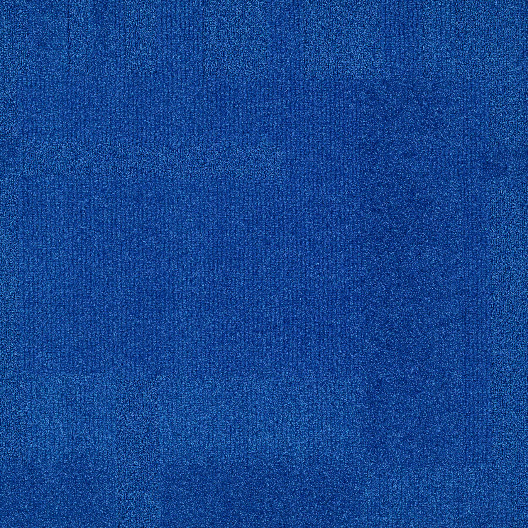 Vivid 202 - Sea Horse