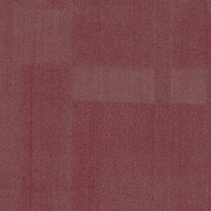 Vivid 202 - Settle Petal