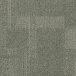 Vivid 202 - Shell Shocked