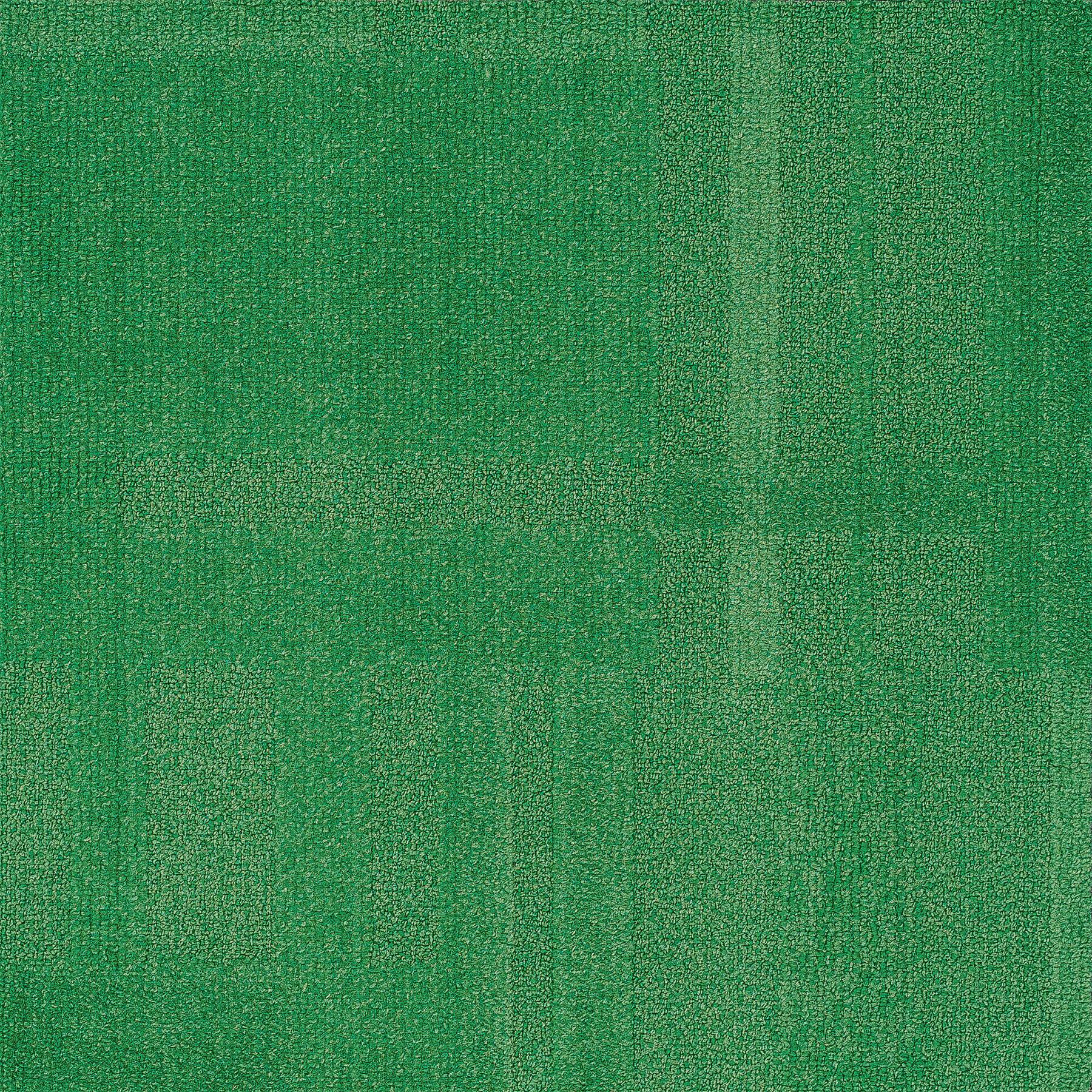 Vivid 202 - Sour Kiwi