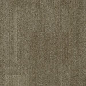 Vivid 202 - Spray Tan