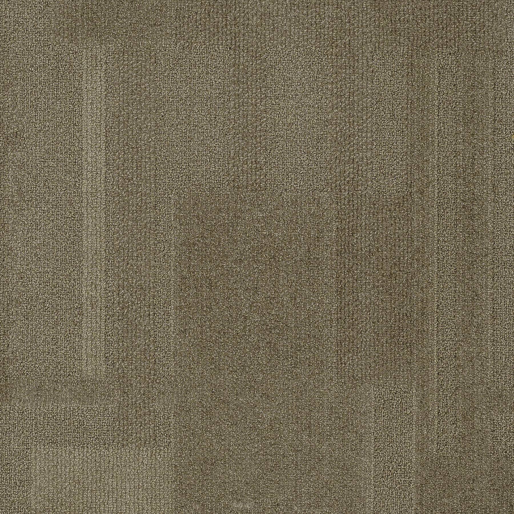 Vivid 202 - Spray Tan