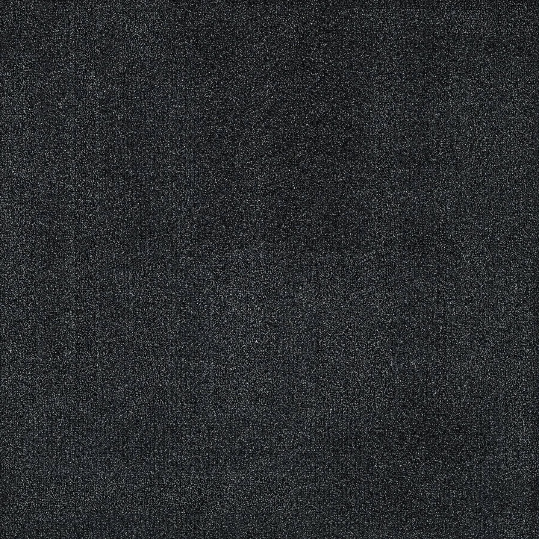 Vivid 202 - Squid Ink