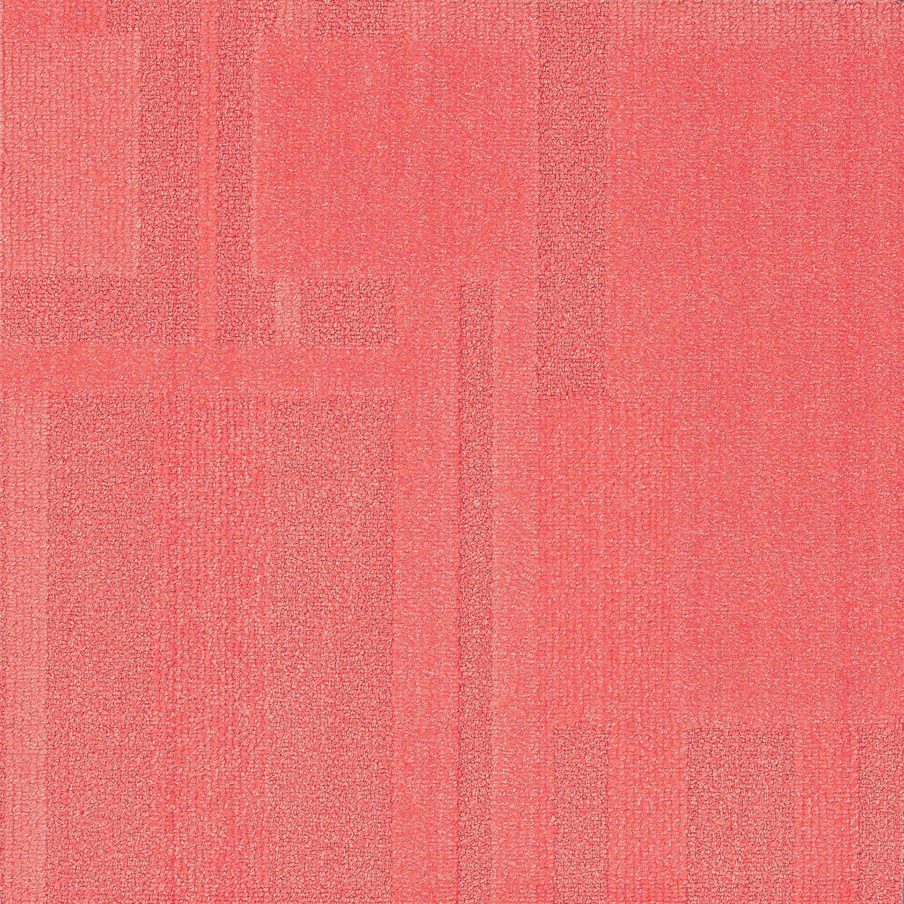 Vivid 202 - Strawberry Sorbet