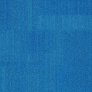 Vivid 202 - Surf's Up