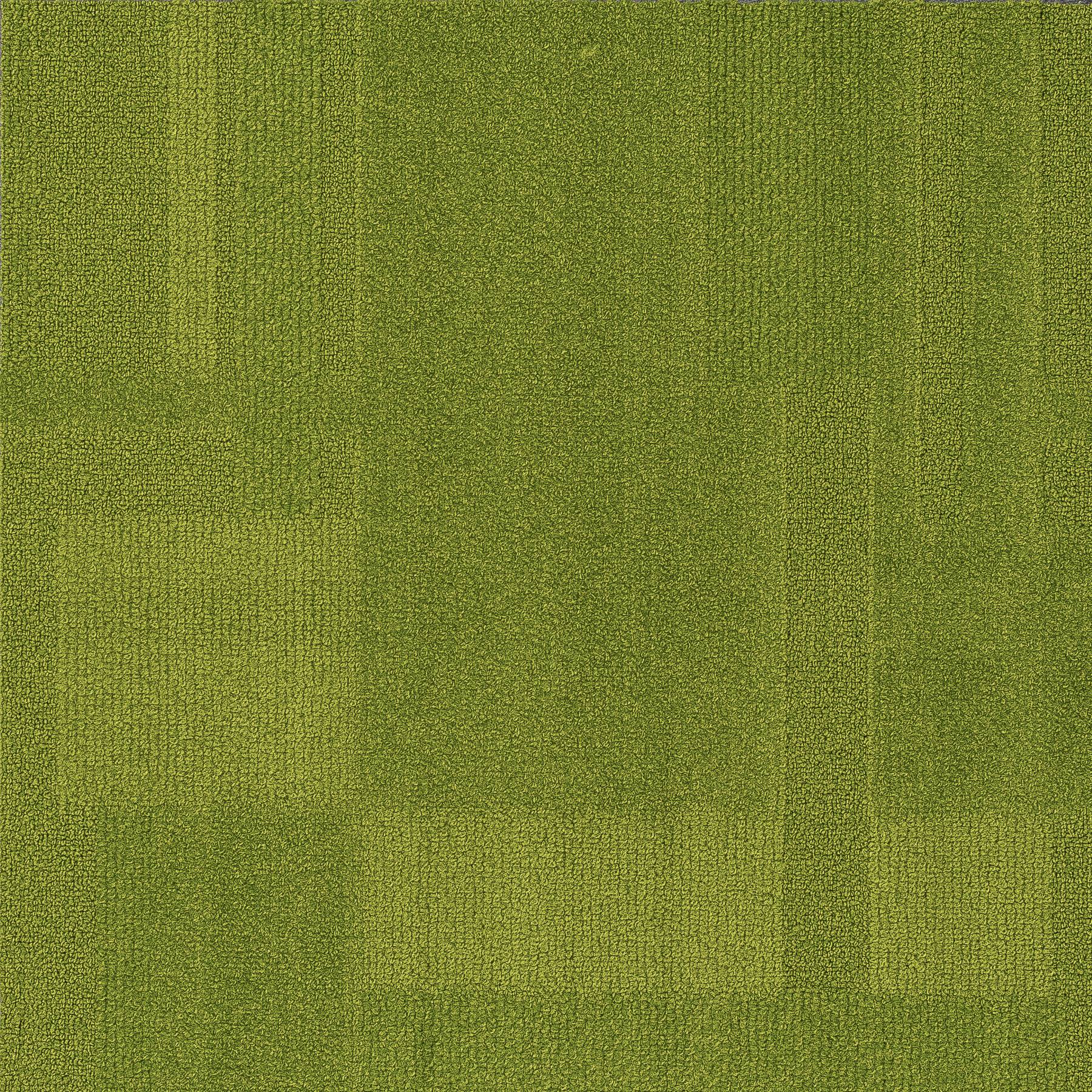 Vivid 202 - Turf Wars