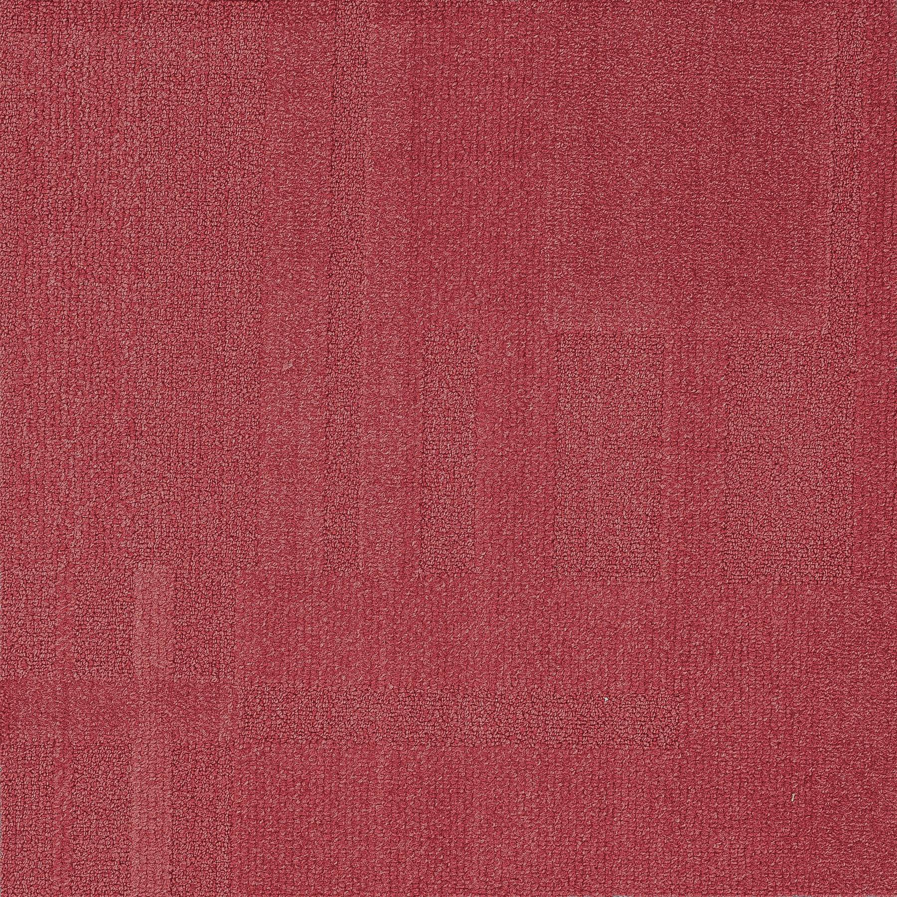 Vivid 202 - Tutti Frutti