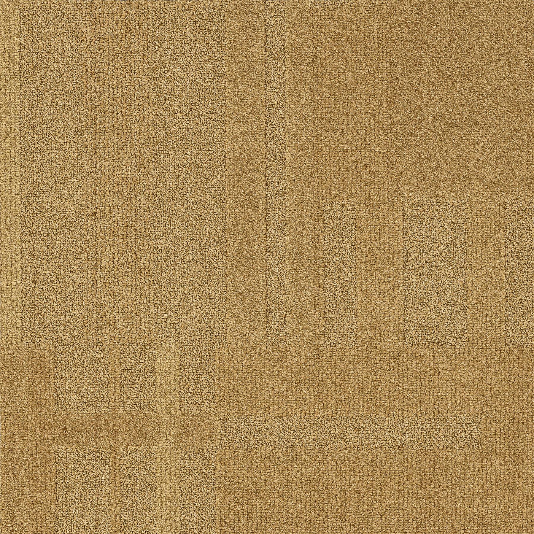 Vivid 202 - Vanilla Bean