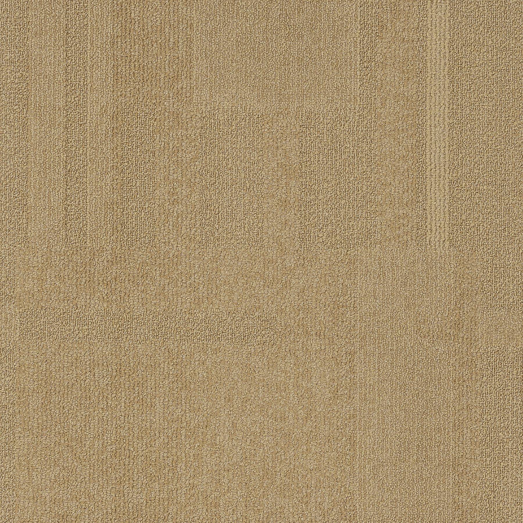 Vivid 202 - Wheat Brix