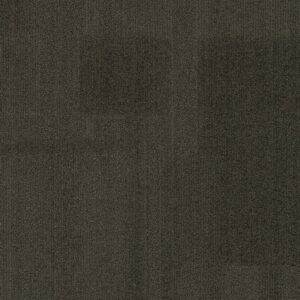 Vivid 202 - Wonky Donkey