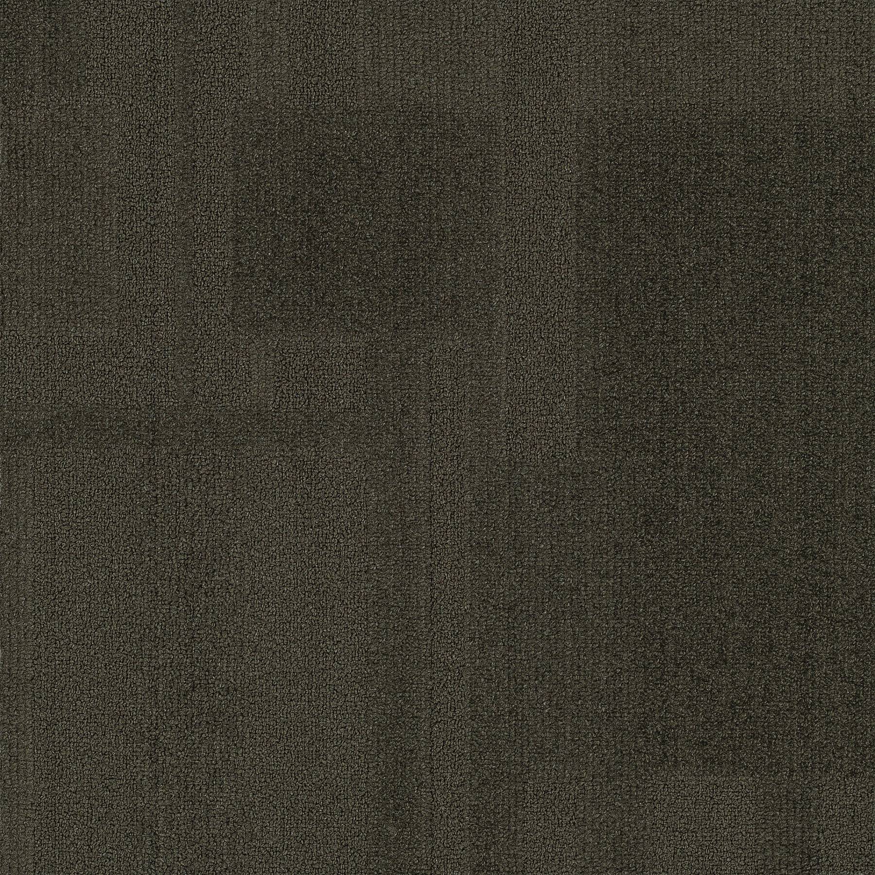 Vivid 202 - Wonky Donkey